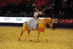 Quadrille - 00609